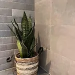Prázdninový dům Casa Fontanita