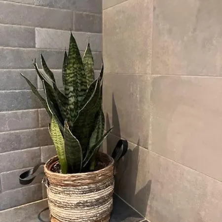 Casa de Férias Casa Fontanita